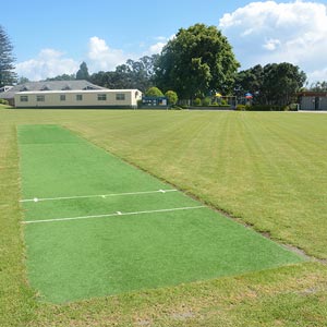 install an artificial cricket pitch
